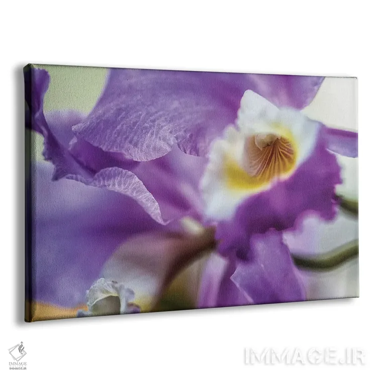 تابلو دکوراتیو گل زنبق ارکیده بنفش اثر گلاوکو منهالی - نمای پرسپکتیو محصول