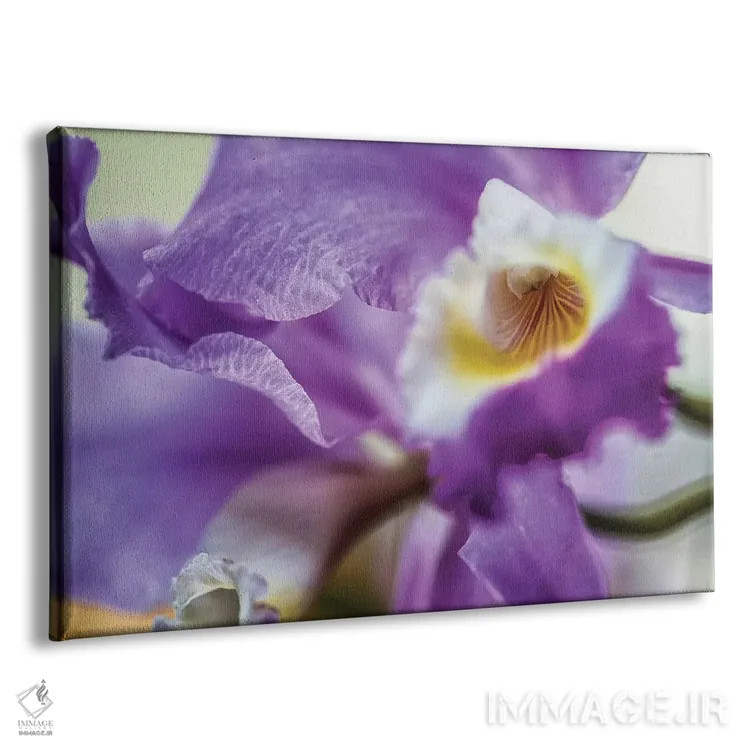 تابلو دکوراتیو گل زنبق ارکیده بنفش اثر گلاوکو منهالی - نمای پرسپکتیو محصول