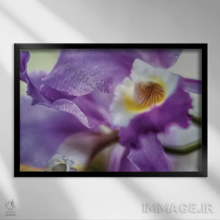 تابلو دکوراتیو گل زنبق ارکیده بنفش اثر گلاوکو منهالی - نمای قابدار مشکی