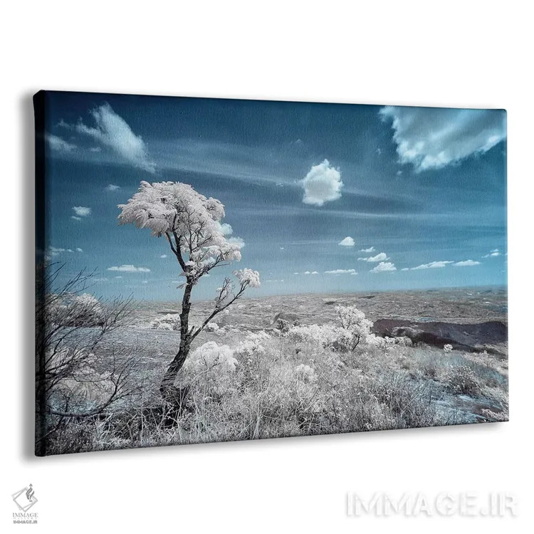 تابلو دکوراتیو کشف اثر گلاوکو منهالی - نمای پرسپکتیو محصول