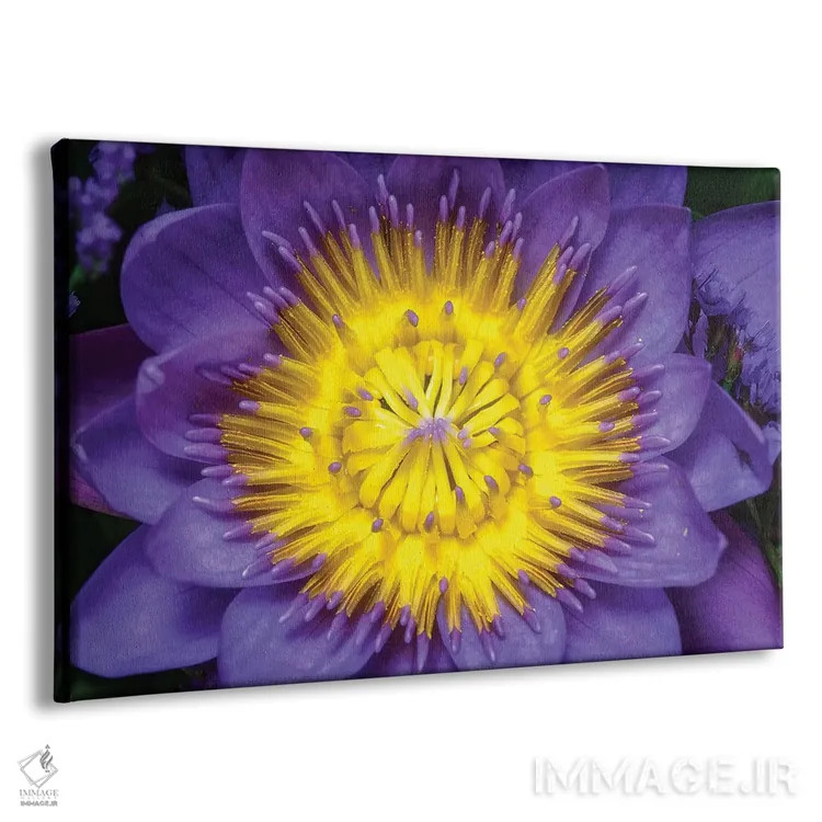 تابلو دکوراتیو نیلوفر اثر گلاوکو منهالی - نمای پرسپکتیو محصول