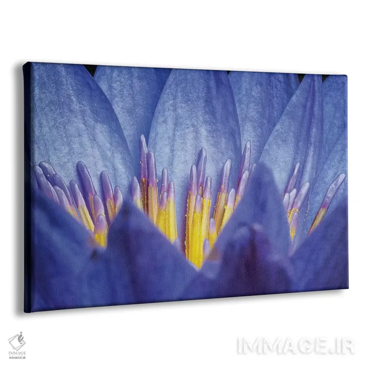 تابلو دکوراتیو نیلوفر شماره ۲ اثر گلاوکو منهالی - نمای پرسپکتیو محصول