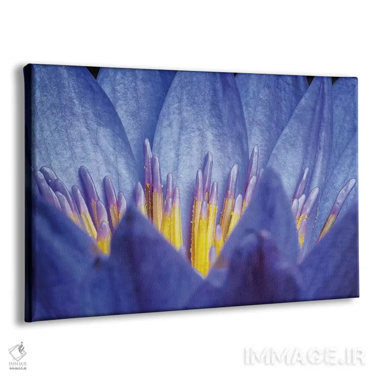 تابلو دکوراتیو نیلوفر شماره ۲ اثر گلاوکو منهالی - نمای پرسپکتیو محصول