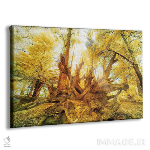 تابلو دکوراتیو رویا اثر گلاوکو منهالی - نمای پرسپکتیو محصول