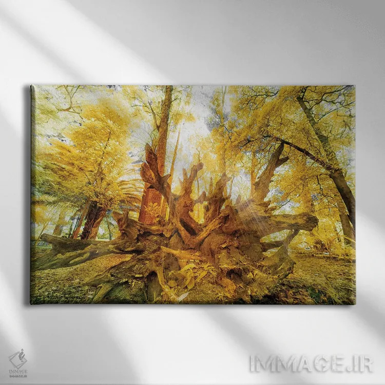 تابلو دکوراتیو رویا اثر گلاوکو منهالی - نمای روبهرو روی دیوار