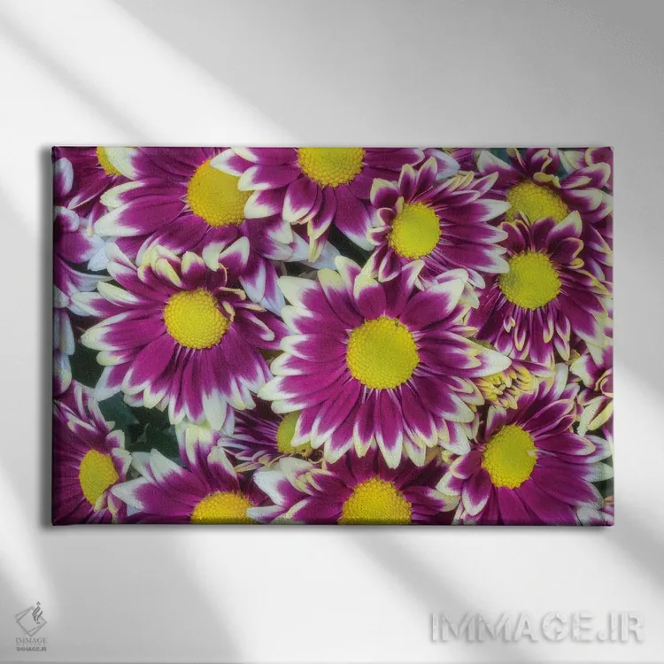 تابلو دکوراتیو پس زمینه گل های رنگارنگ اثر گلاوکو منهالی - نمای روبهرو روی دیوار