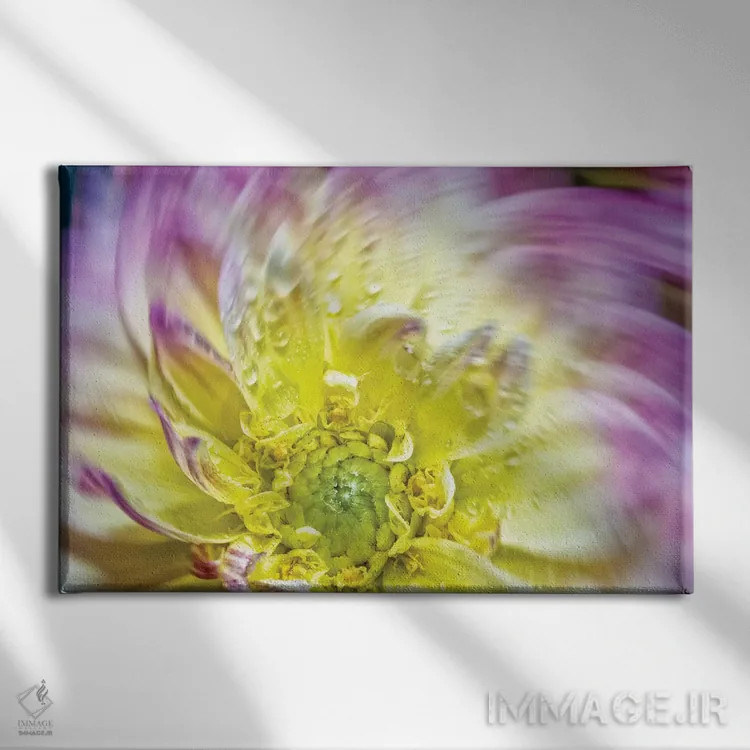 تابلو دکوراتیو چرخش گل داوودی زرد اثر گلاوکو منهالی - نمای روبهرو روی دیوار