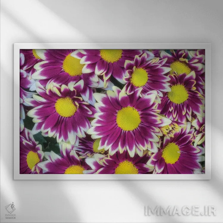تابلو دکوراتیو پس زمینه گل های رنگارنگ اثر گلاوکو منهالی - نمای قابدار سفید