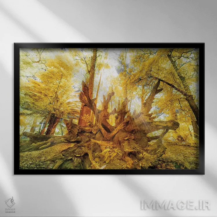 تابلو دکوراتیو رویا اثر گلاوکو منهالی - نمای قابدار مشکی