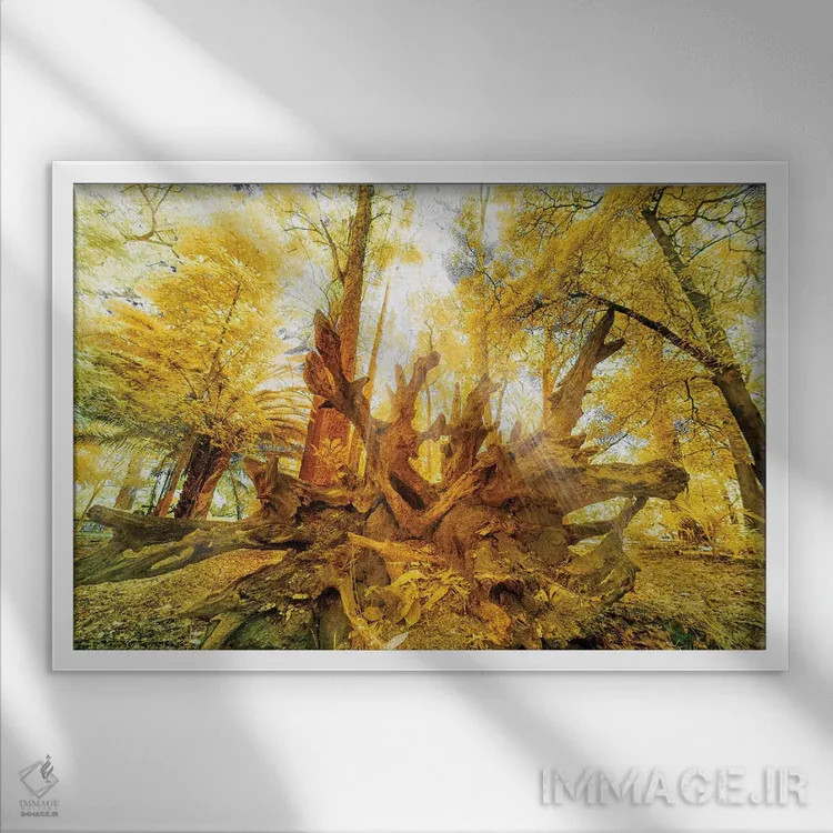 تابلو دکوراتیو رویا اثر گلاوکو منهالی - نمای قابدار سفید