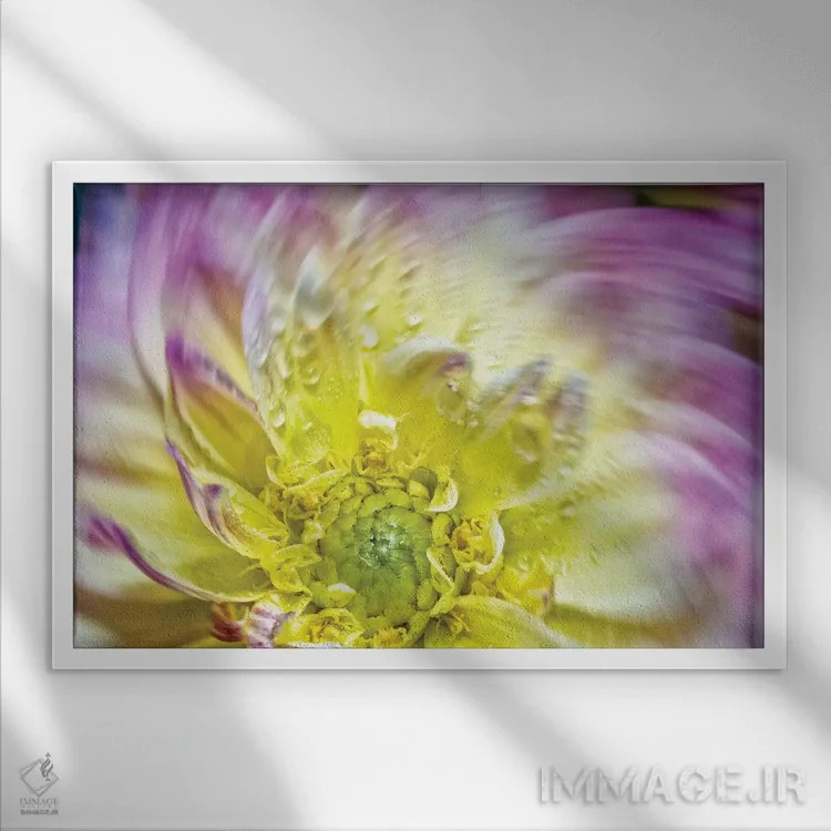 تابلو دکوراتیو چرخش گل داوودی زرد اثر گلاوکو منهالی - نمای قابدار سفید