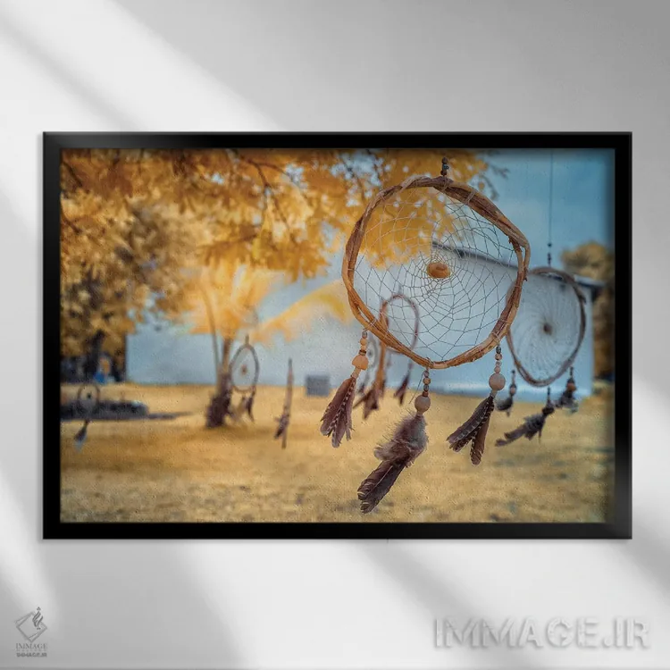 تابلو دکوراتیو دریم کچر اثر گلاوکو منهالی - نمای قابدار مشکی