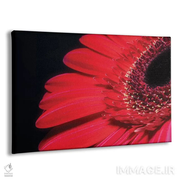 تابلو دکوراتیو گل ژربرا قرمز اثر گلاوکو منهالی - نمای پرسپکتیو محصول