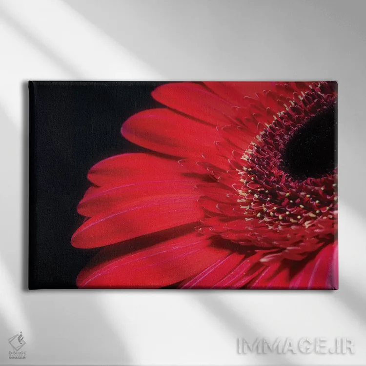 تابلو دکوراتیو گل ژربرا قرمز اثر گلاوکو منهالی - نمای روبهرو روی دیوار