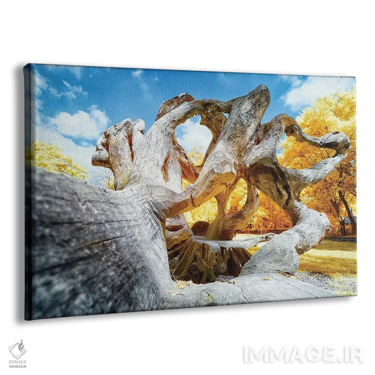 تابلو دکوراتیو بلوط خشک اثر گلاوکو منهالی - نمای پرسپکتیو محصول