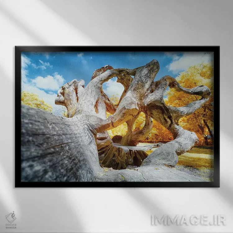 تابلو دکوراتیو بلوط خشک اثر گلاوکو منهالی - نمای قابدار مشکی