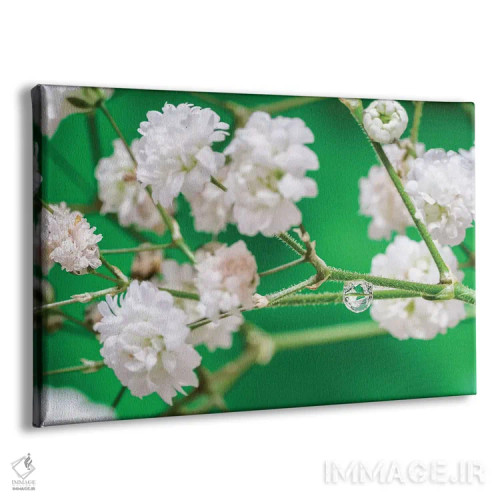 تابلو دکوراتیو شکوفه گیلاس اثر گلاوکو منهالی - نمای پرسپکتیو محصول