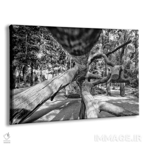 تابلو دکوراتیو عکاسی خیابانی ۱۱ اثر گلاوکو منهالی - نمای پرسپکتیو محصول