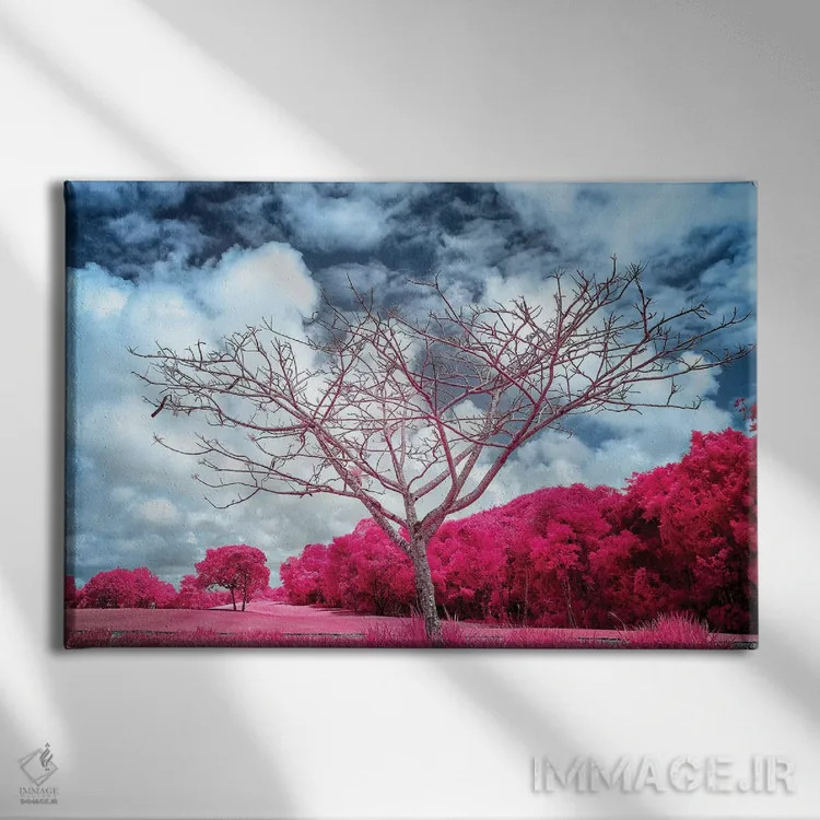 تابلو دکوراتیو درخت خشک سرخابی اثر گلاوکو منهالی - نمای روبهرو روی دیوار