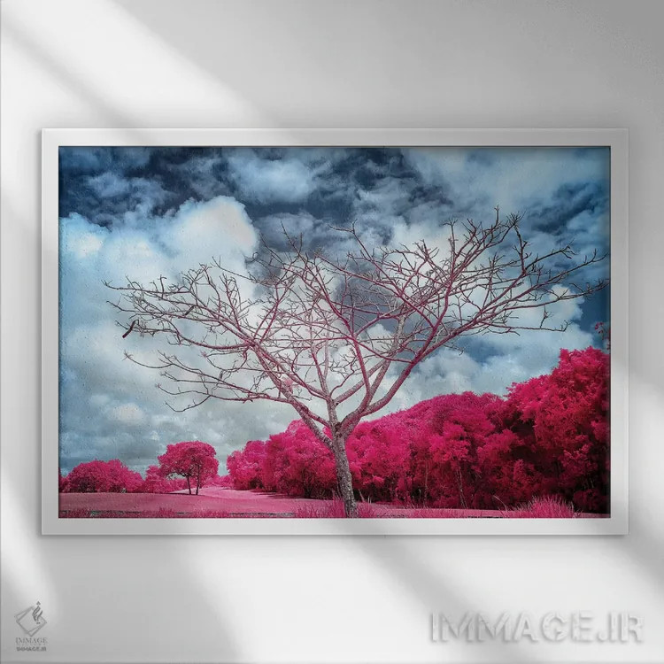 تابلو دکوراتیو درخت خشک سرخابی اثر گلاوکو منهالی - نمای قابدار سفید