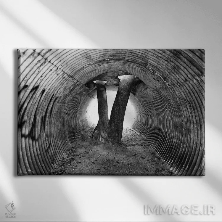 تابلو دکوراتیو عکاسی خیابانی ۳۳ اثر گلاوکو منهالی - نمای روبهرو روی دیوار