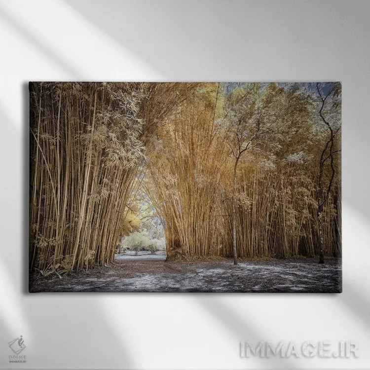 تابلو دکوراتیو مسیر بامبو اثر گلاوکو منهالی - نمای روبهرو روی دیوار