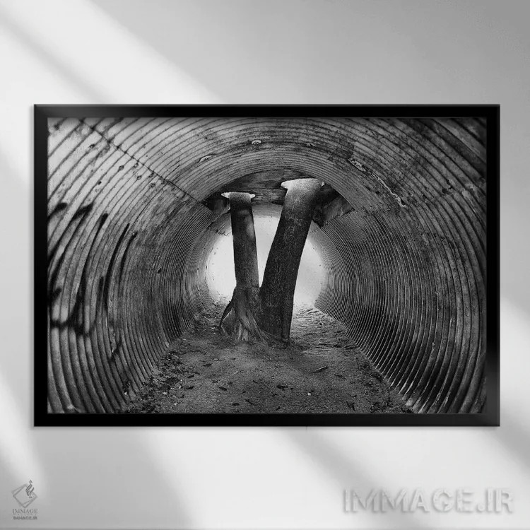 تابلو دکوراتیو عکاسی خیابانی ۳۳ اثر گلاوکو منهالی - نمای قابدار مشکی