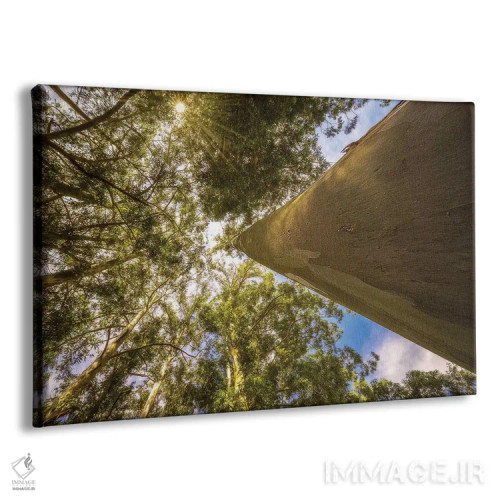 تابلو دکوراتیو منظره شماره ۴ اثر گلاوکو منهالی - نمای پرسپکتیو محصول