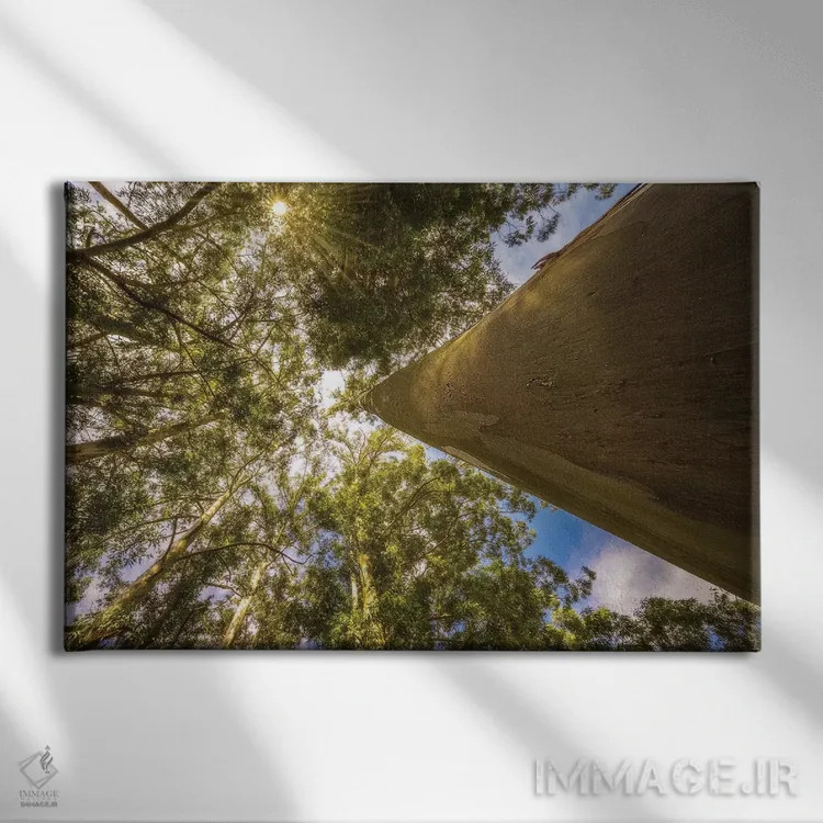 تابلو دکوراتیو منظره شماره ۴ اثر گلاوکو منهالی - نمای روبهرو روی دیوار