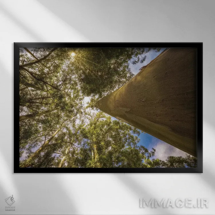 تابلو دکوراتیو منظره شماره ۴ اثر گلاوکو منهالی - نمای قابدار مشکی