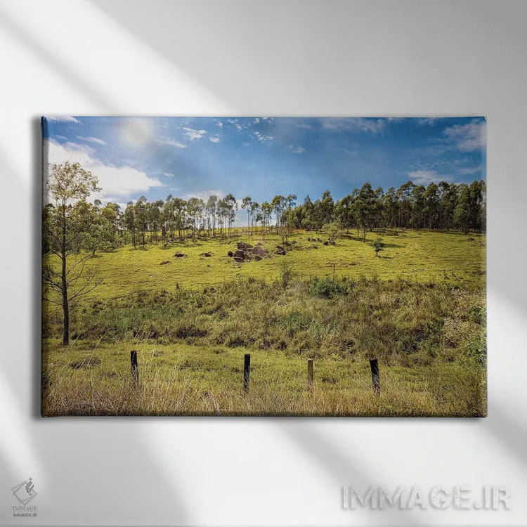 تابلو دکوراتیو منظره شماره ۵ اثر گلاوکو منهالی - نمای روبهرو روی دیوار