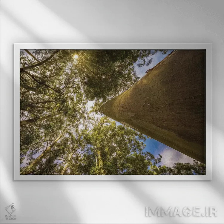 تابلو دکوراتیو منظره شماره ۴ اثر گلاوکو منهالی - نمای قابدار سفید