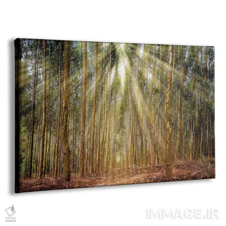 تابلو دکوراتیو منظره شماره ۱۷ اثر گلاوکو منهالی - نمای پرسپکتیو محصول