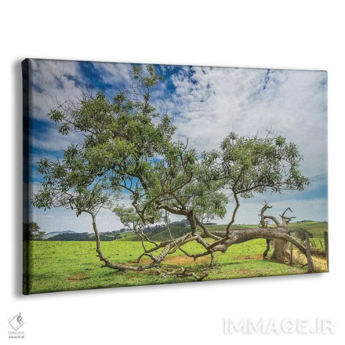 تابلو دکوراتیو منظره شماره ۲۰ اثر گلاوکو منهالی - نمای پرسپکتیو محصول