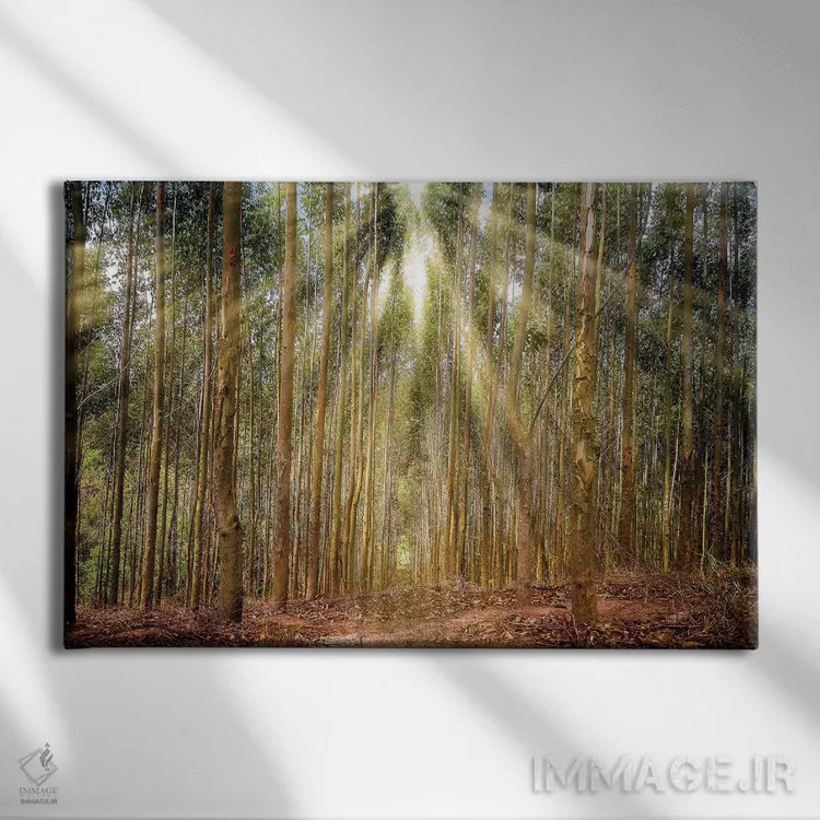 تابلو دکوراتیو منظره شماره ۱۷ اثر گلاوکو منهالی - نمای روبهرو روی دیوار