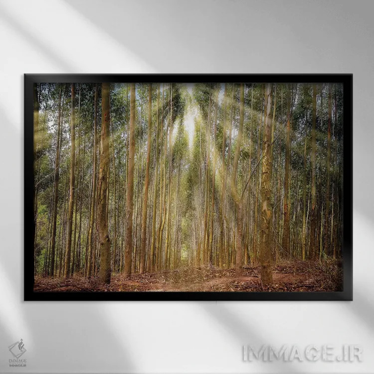 تابلو دکوراتیو منظره شماره ۱۷ اثر گلاوکو منهالی - نمای قابدار مشکی