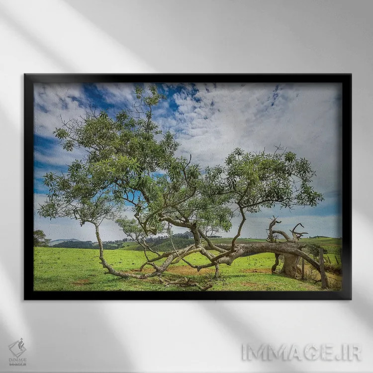 تابلو دکوراتیو منظره شماره ۲۰ اثر گلاوکو منهالی - نمای قابدار مشکی