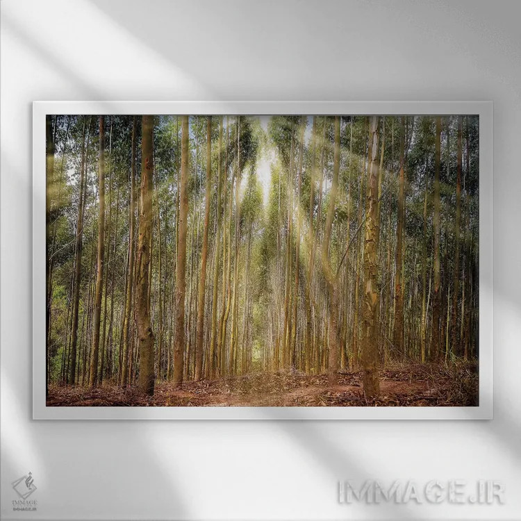 تابلو دکوراتیو منظره شماره ۱۷ اثر گلاوکو منهالی - نمای قابدار سفید