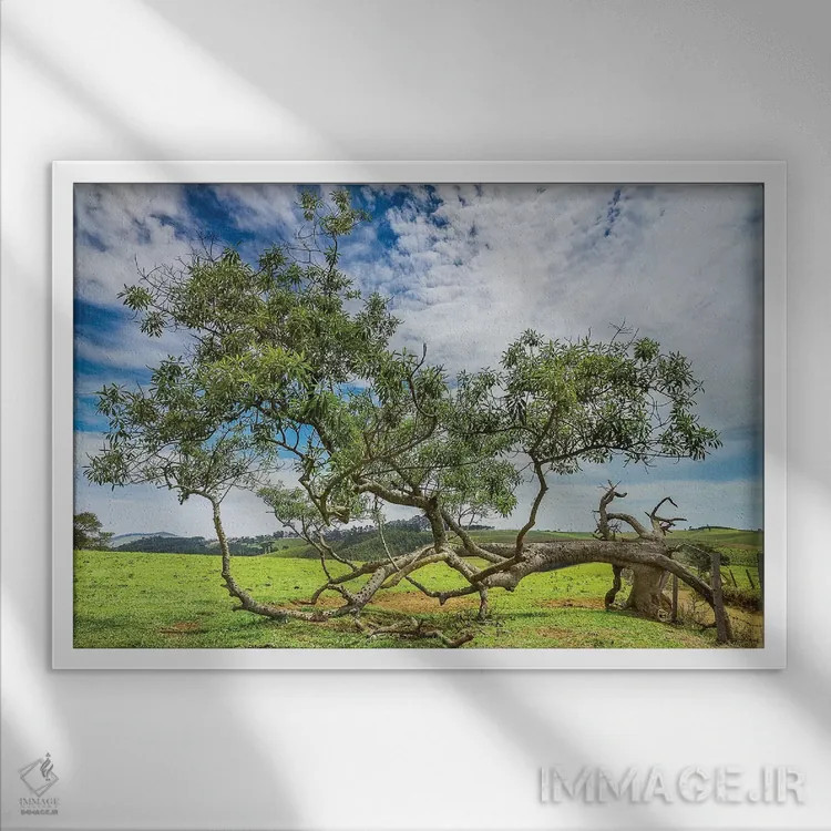 تابلو دکوراتیو منظره شماره ۲۰ اثر گلاوکو منهالی - نمای قابدار سفید