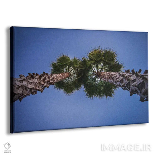 تابلو دکوراتیو مخروط کاج روی درخت اثر گلاوکو منهالی - نمای پرسپکتیو محصول