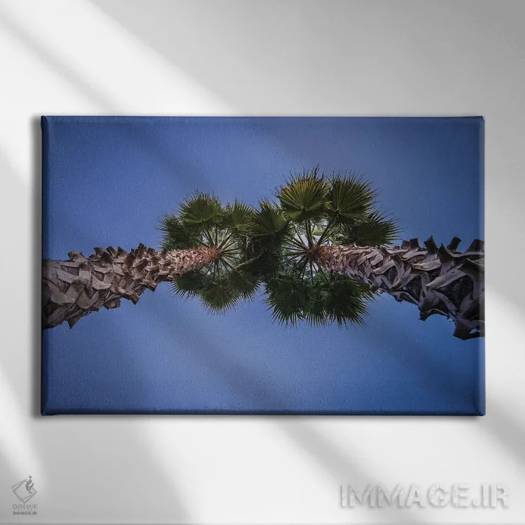 تابلو دکوراتیو مخروط کاج روی درخت اثر گلاوکو منهالی - نمای روبهرو روی دیوار