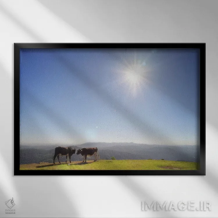 تابلو دکوراتیو گاو شماره ۱ اثر گلاوکو منهالی - نمای قابدار مشکی