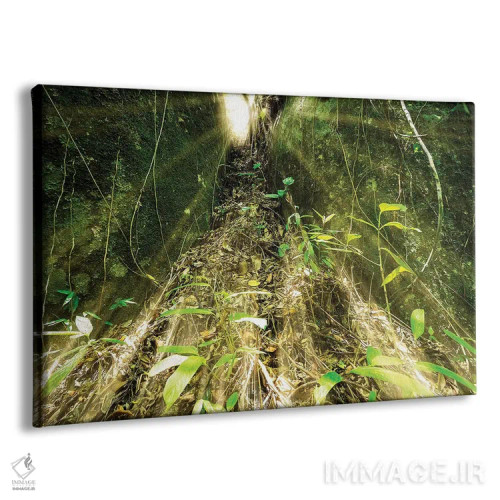 تابلو دکوراتیو جنگل گرمسیری شماره ۱۶ اثر گلاوکو منهالی - نمای پرسپکتیو محصول