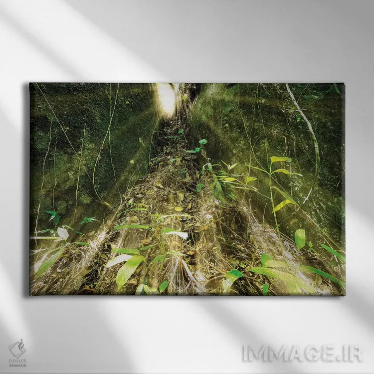 تابلو دکوراتیو جنگل گرمسیری شماره ۱۶ اثر گلاوکو منهالی - نمای روبهرو روی دیوار