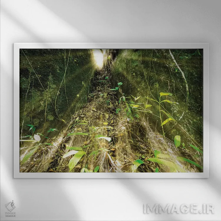 تابلو دکوراتیو جنگل گرمسیری شماره ۱۶ اثر گلاوکو منهالی - نمای قابدار سفید