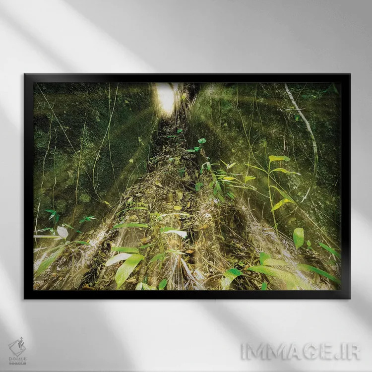 تابلو دکوراتیو جنگل گرمسیری شماره ۱۶ اثر گلاوکو منهالی - نمای قابدار مشکی