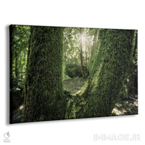 تابلو دکوراتیو جنگل گرمسیری شماره ۲۳ اثر گلاوکو منهالی - نمای پرسپکتیو محصول