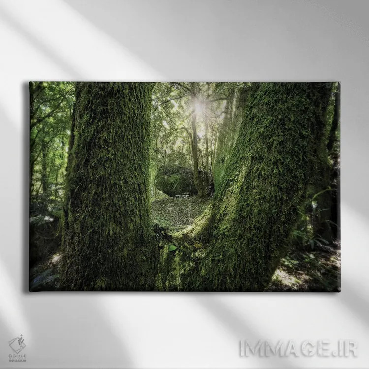 تابلو دکوراتیو جنگل گرمسیری شماره ۲۳ اثر گلاوکو منهالی - نمای روبهرو روی دیوار