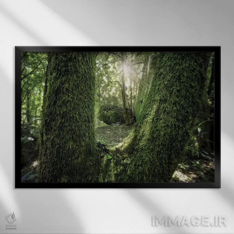 تابلو دکوراتیو جنگل گرمسیری شماره ۲۳ اثر گلاوکو منهالی - نمای قابدار مشکی