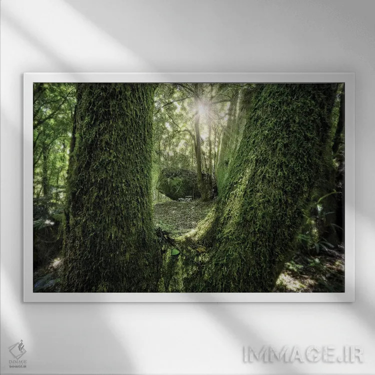 تابلو دکوراتیو جنگل گرمسیری شماره ۲۳ اثر گلاوکو منهالی - نمای قابدار سفید